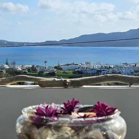 Tony's House With Sea View