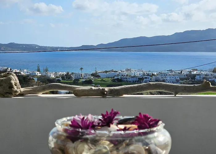 Tony's House With Sea View